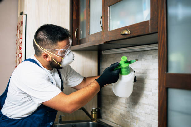 Best Termite Control Services  in Le Grand, CA