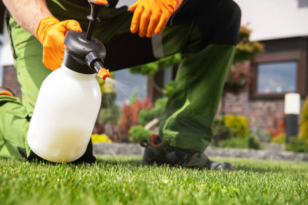 Best Best Pest Control Companies  in Le Grand, CA