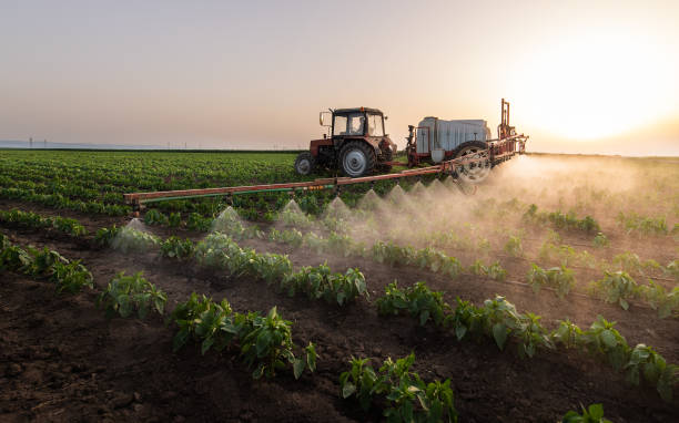 Best Mosquito Control Services  in Le Grand, CA