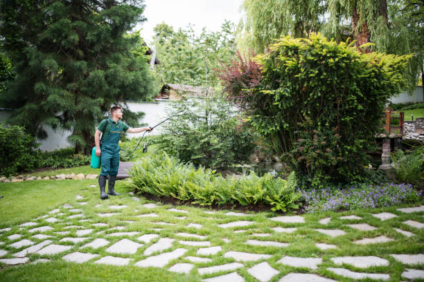 Best Wasp Removal Services  in Le Grand, CA