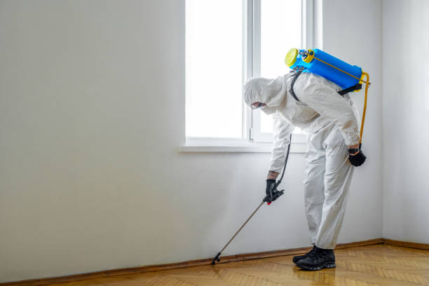 Reliable Le Grand, CA Pest Control Solutions