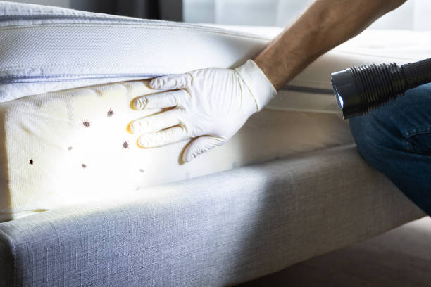Flea Control Services in Le Grand, CA