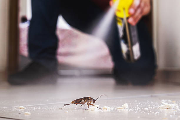 Best Commercial Pest Control Services  in Le Grand, CA