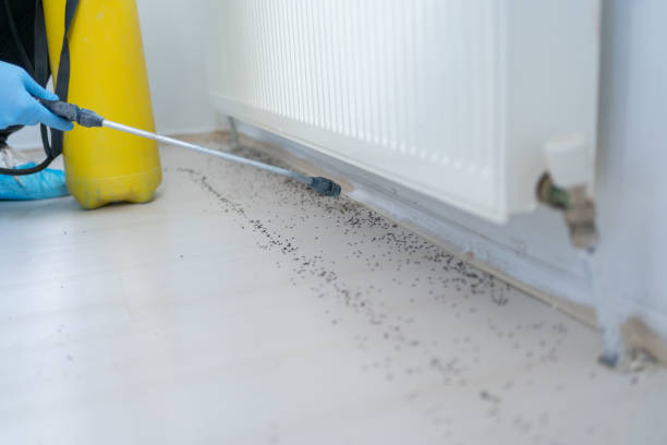 Best Local Pest Control Services  in Le Grand, CA