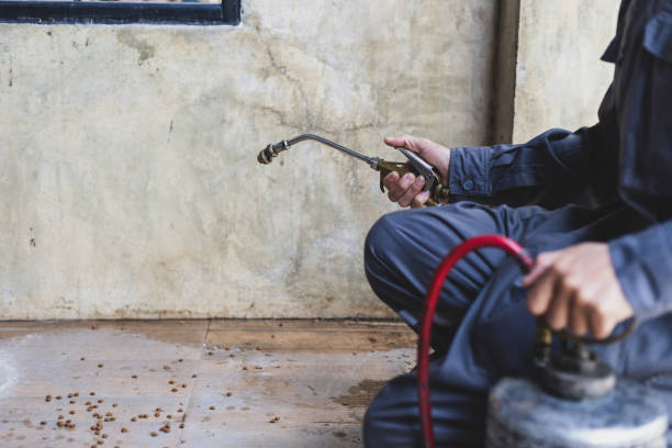 Best Pest Control for Homes  in Le Grand, CA